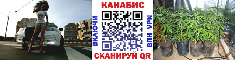 Конопля индика  Купить  Краснознаменск 